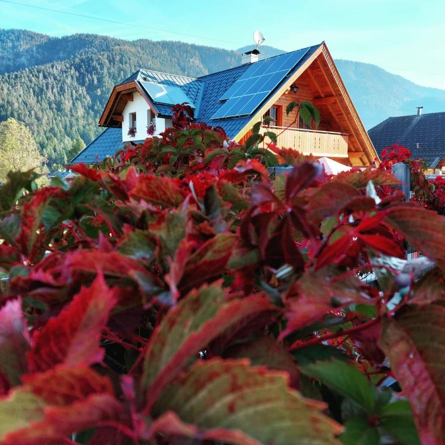 Bed and Breakfast Al Sentiero Di Charly Tarvis Exterior foto