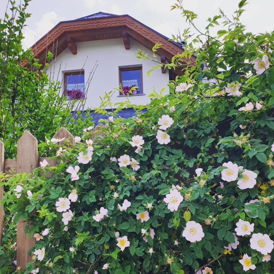Bed and Breakfast Al Sentiero Di Charly Tarvis Exterior foto