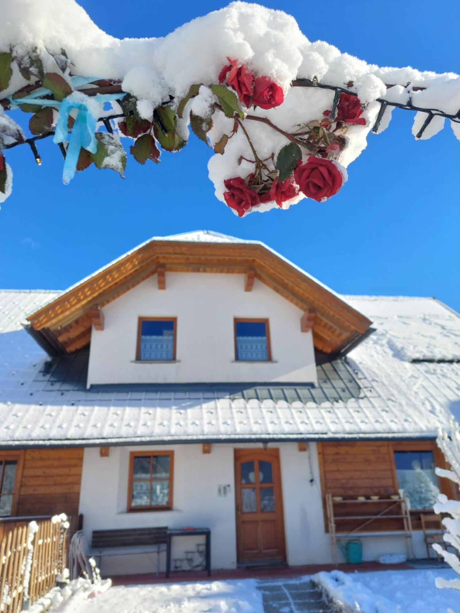 Bed and Breakfast Al Sentiero Di Charly Tarvis Exterior foto